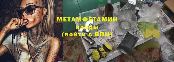 крисы Зеленокумск