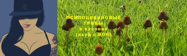 ешки Зерноград