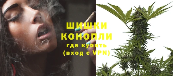 крисы Зеленокумск